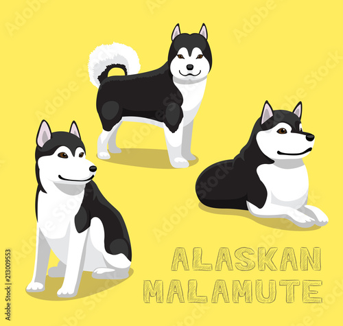 Dog Alaskan Malamute Cartoon Vector Illustration