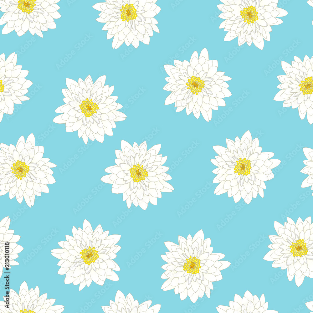 White Chrysanthemum on Blue Background White Chrysanthemum on Blue Background