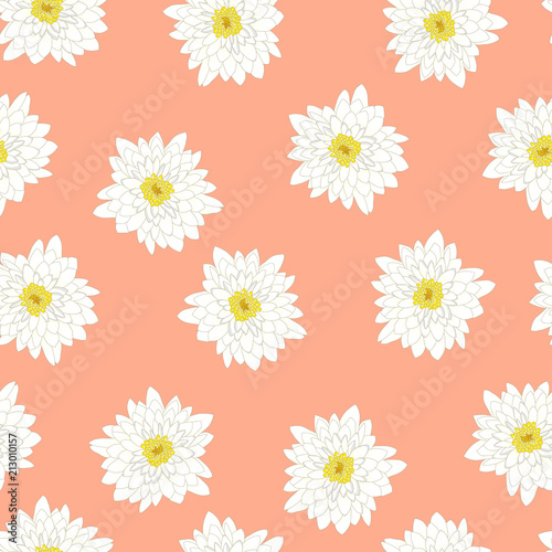 White Chrysanthemum on Pink...