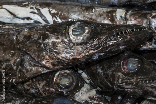 Black scabbard fish (Aphanopus carbo), Fish Market, Funchal, Madeira, Portugal, Europe
