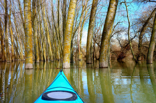 View from the bow of blue kayak on flooded trees during the spring high water on the Danube river. Kayaking in a wild forest among flooded trees. © watcherfox