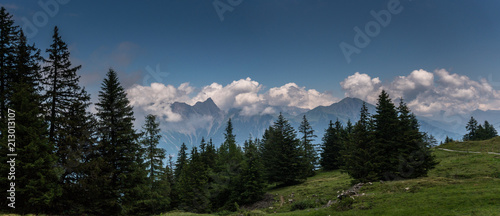 Fototapeta Naklejka Na Ścianę i Meble -  gorgeous Swiss Alps mountain landscape in summer with forest in the foreground