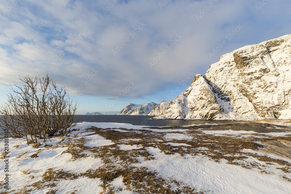 Coastline of the Lofoten islands with snowcapped mountains