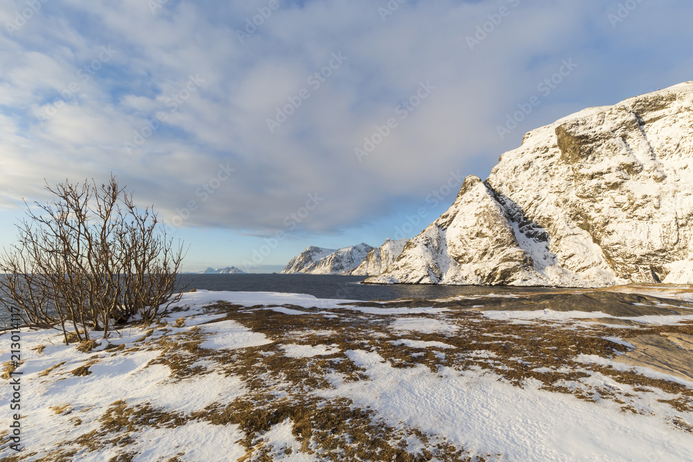 Coastline of the Lofoten islands with snowcapped mountains Coastline of the Lofoten islands with snowcapped mountains