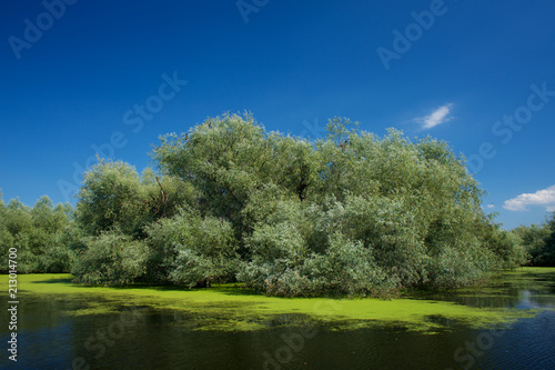 Danube Delta in Romania