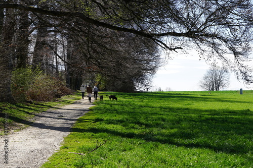 Wiese und Wanderweg in Zollikon im Kanton Zürich in der Schweiz im April  photo