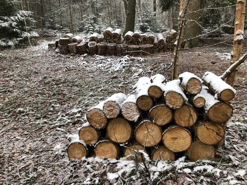 wood