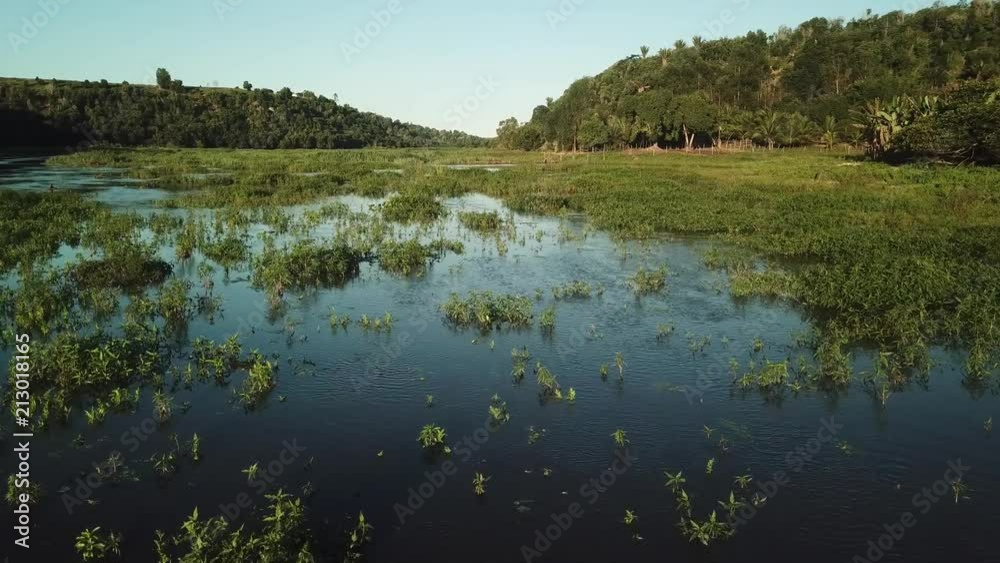 Beautiful drone shot flying over a river marshland region in rural Brazil Beautiful drone shot flying over a river marshland region in rural Brazil