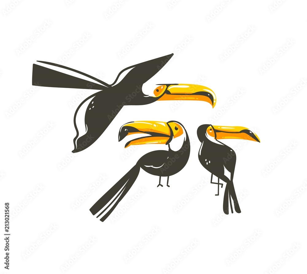 Obraz premium Hand drawn vector abstract cartoon summer time graphic decoration illustrations collection set art with exotic tropical rainforest toucan birds isolated on white background