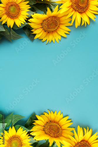 Beautiful sunflowers on blue background. View from above. Background with copy space.