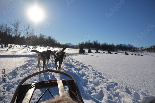 Dog sledding tour on a cold and chilly winter day at the mountains of Tromso