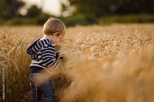 Crops 5