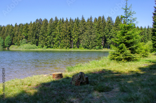 Kleiner See im Wald an einem wolkenlosen Sommertag