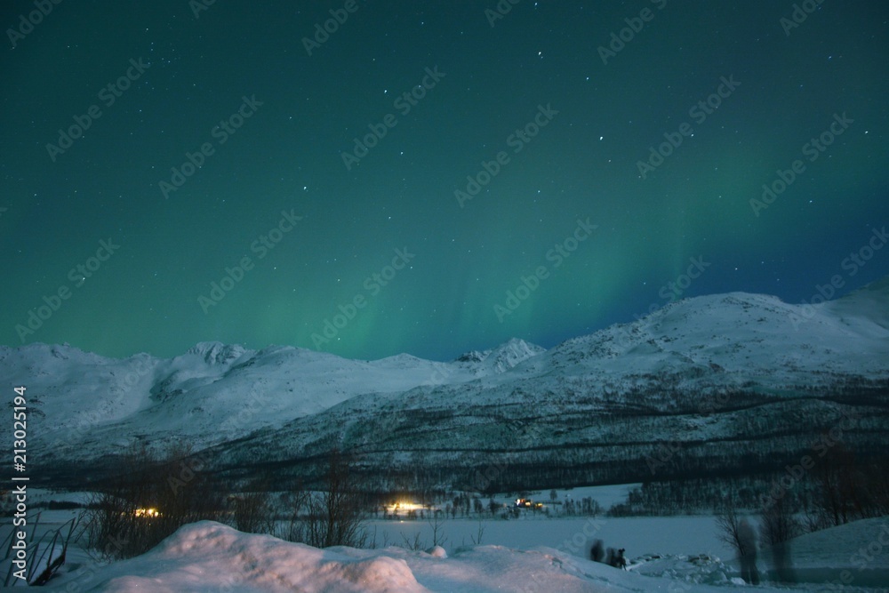 The northern lights (Aurora Borealis) over Laksvatn, Troms by a frozen fjord