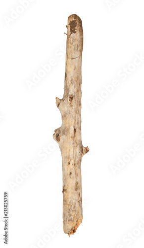 Tree stick isolated on white background