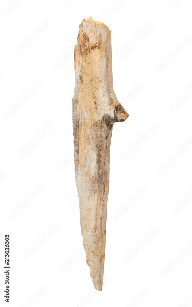 Fototapeta premium Tree stick isolated on white background