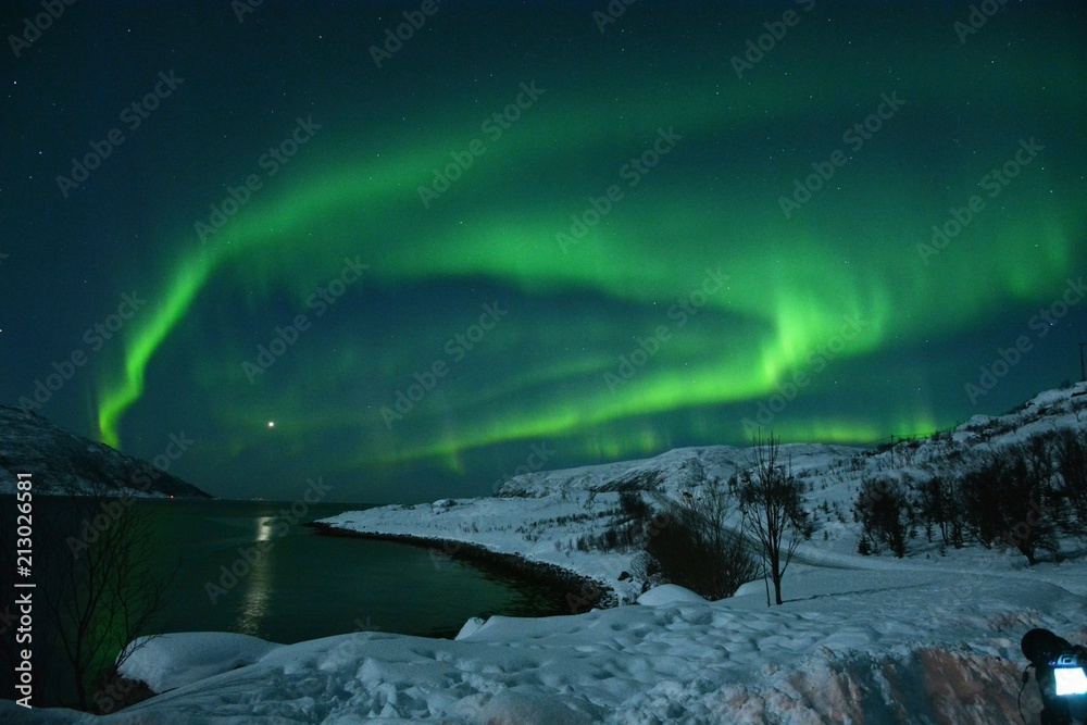 The northern lights (Aurora Borealis) over Seljelvnes, Troms by the sea and the snowy mountains