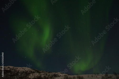 The northern lights  Aurora Borealis  over Seljelvnes  Troms by the sea and the snowy mountains