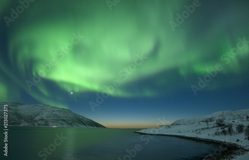 Fototapeta Naklejka Na Ścianę i Meble -  The northern lights (Aurora Borealis) over Seljelvnes, Troms by the sea and the snowy mountains