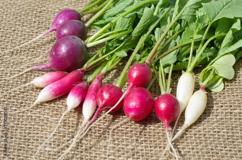 Radishes of different varieties on burlap close-up