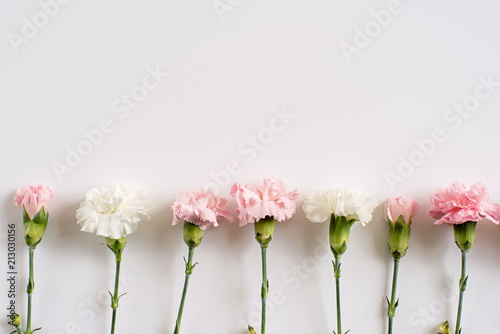 design floral rose et blanc photo