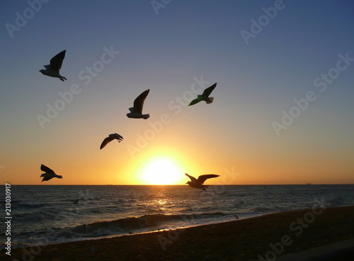 Birds Flying Across the Sea