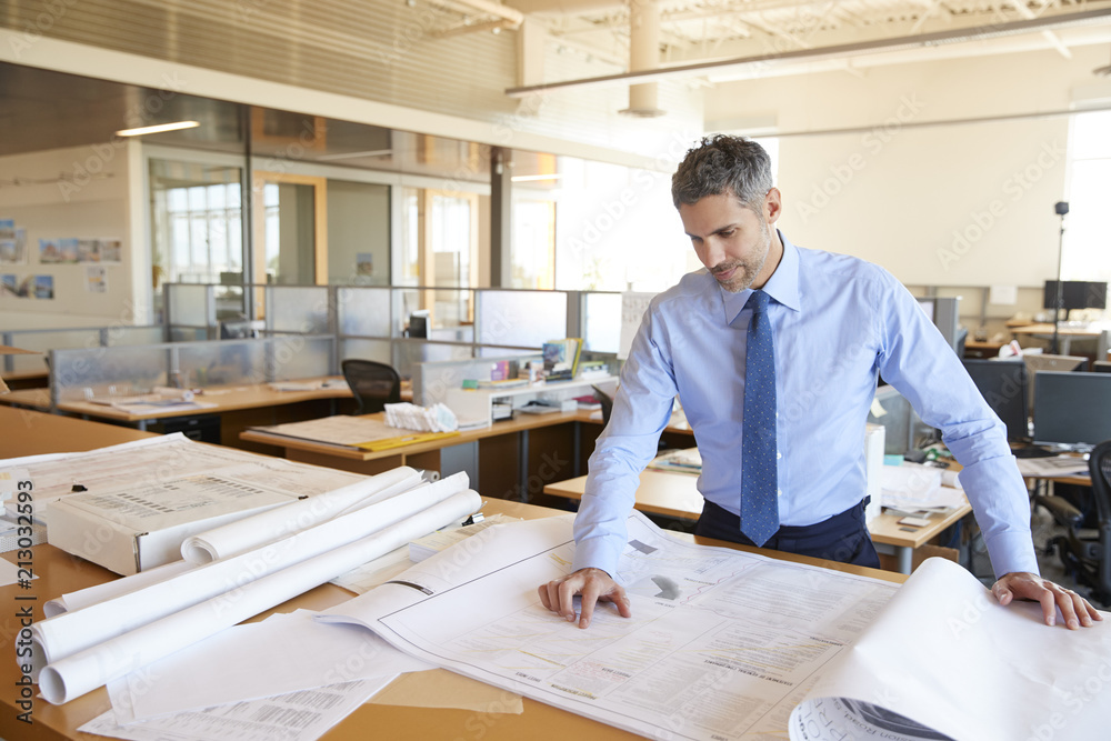 White male architect looking at plans in open plan office White male architect looking at plans in open plan office