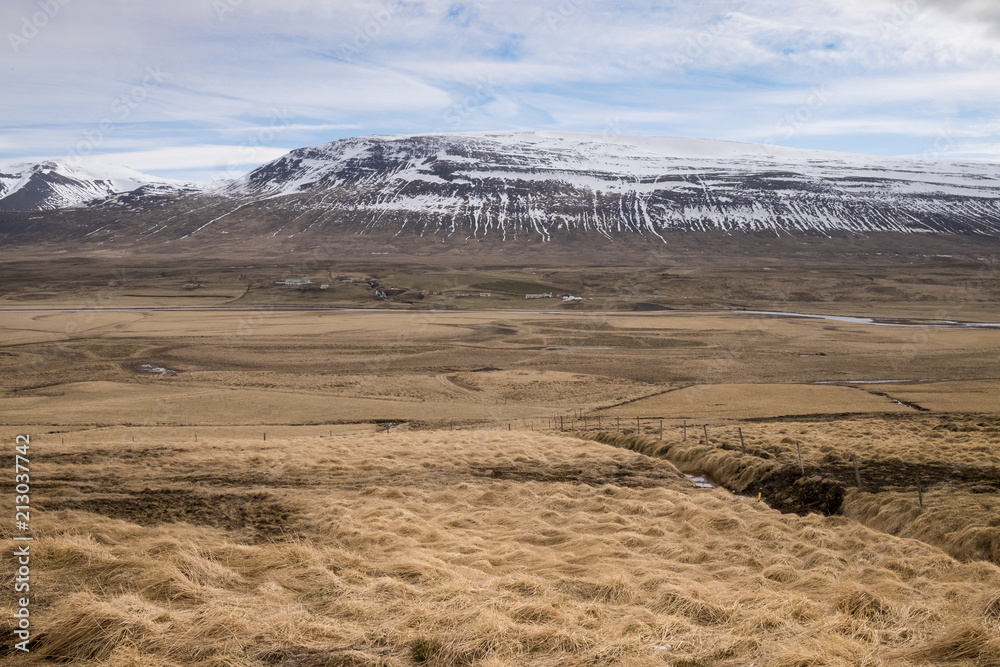 Grass tundra landscape in Iceland