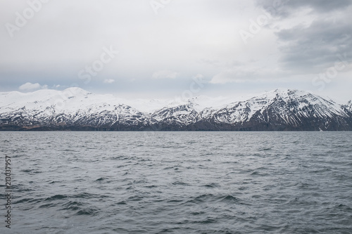 Fototapeta Naklejka Na Ścianę i Meble -  A sea view with mountains in background in Iceland