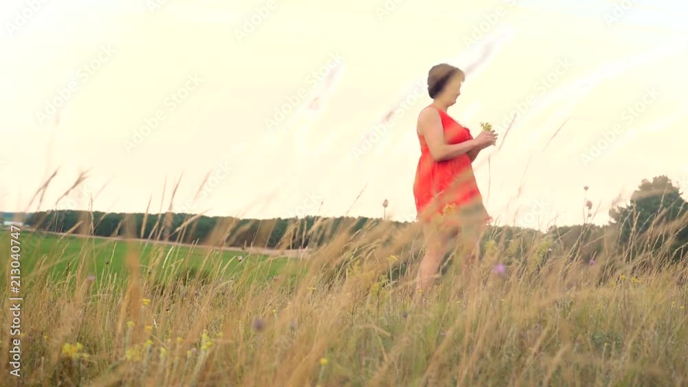 Plus size fashion model in slow motion video walking on the grass. fat woman on nature in the field grass flowers lifestyle summer. overweight female body. full girl length portrait nature concept Plus size fashion model in slow motion video walking on the grass. fat woman on nature in the field grass flowers lifestyle summer. overweight female body. full girl length portrait nature concept