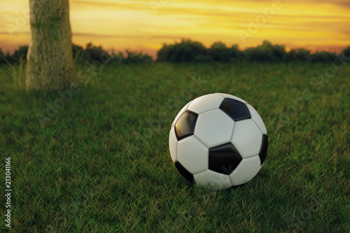 3d rendering of soccer ball on green grass in the evening sunset