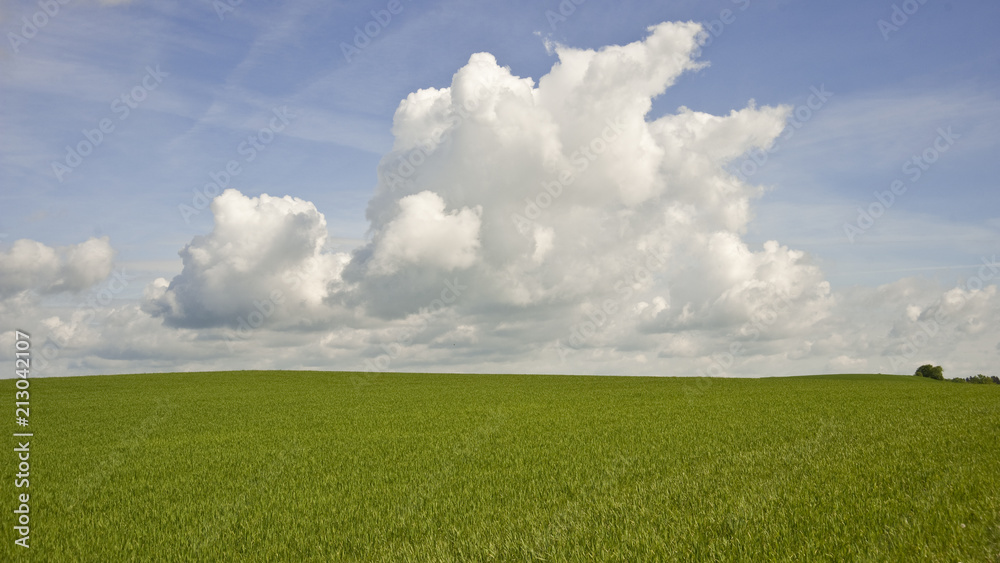 Fototapeta premium Acker unter blauem Wolkenhimmel