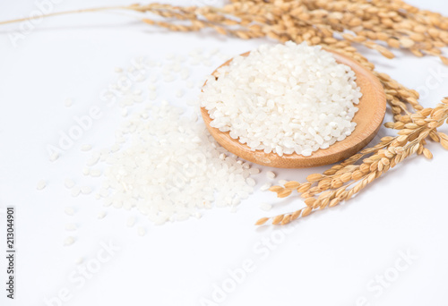 white rice in wooden bowl and unmilled rice isolated on white background