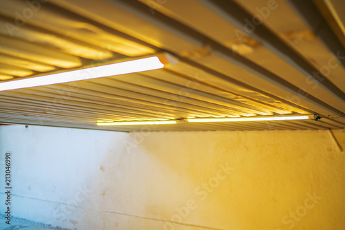 yellew fluorescents under the ceiling photo