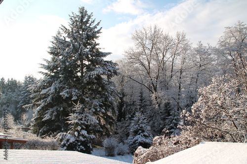 Winter in Warmsroth