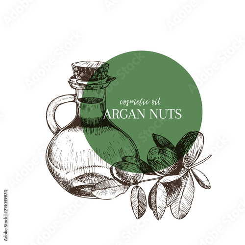 Hand drawn set of essential oils. Vector argan nut. Medicinal herb with glass dropper bottle. Engraved art. Good for cosmetics, medicine, treating, aromatherapy, package design health care.