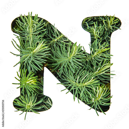The letter N of the English alphabet from green grass