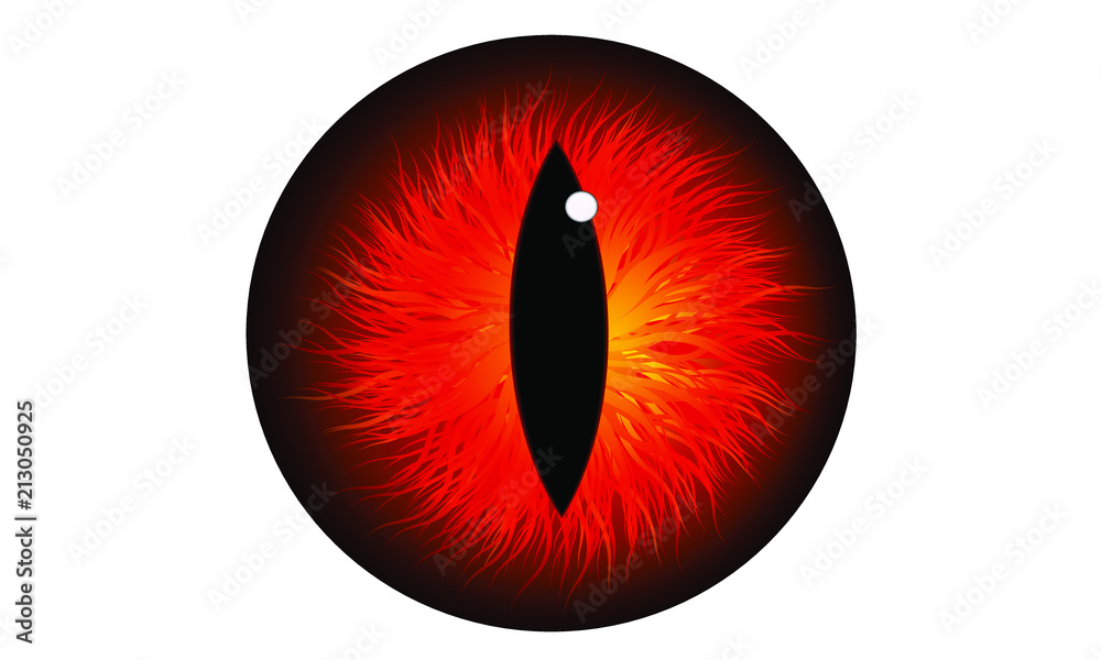 red iris eye ball pupil icon, dragon eye Stock | Adobe Stock