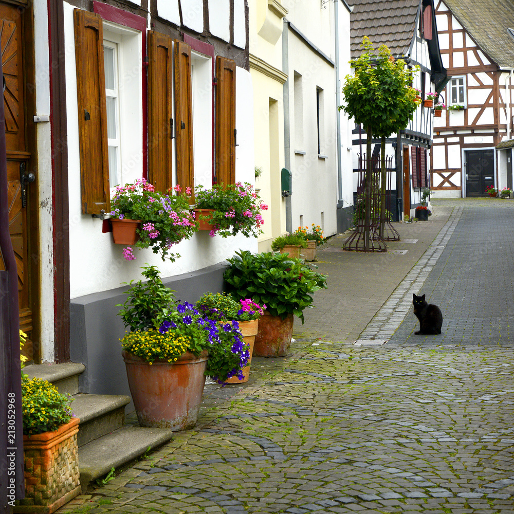 old small German town on the river bank narrow streets, pavement flowers on the windows