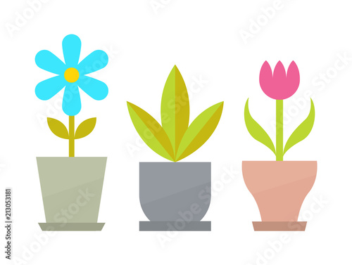 Fototapeta Naklejka Na Ścianę i Meble -  Indoor Flowers with Blossom and Big Leaves Set