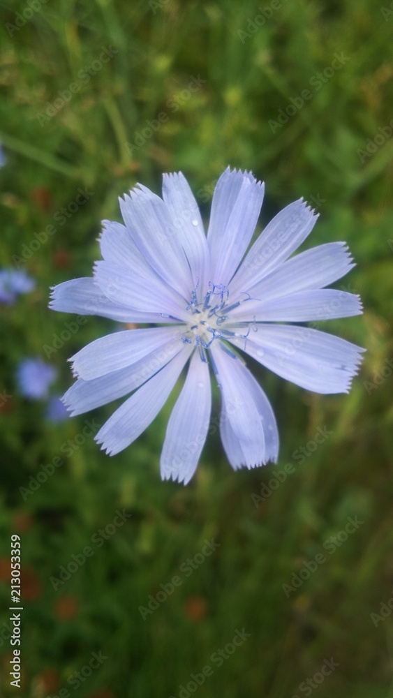 DSC_1079 DSC_1079