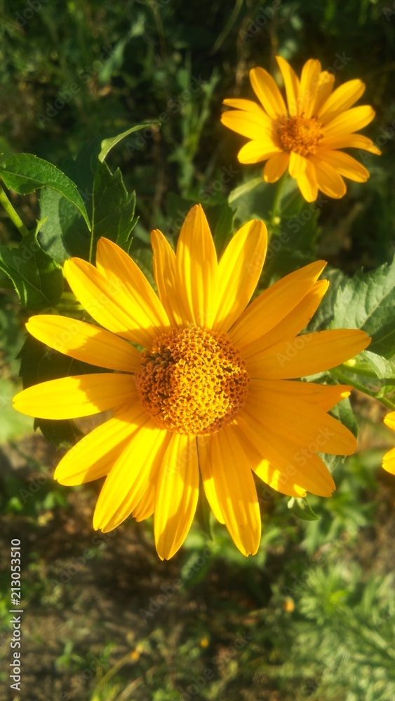 DSC_1176 DSC_1176