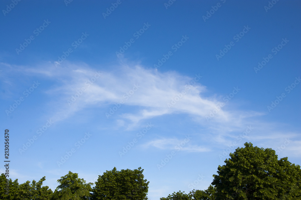 white clouds against the blue sky