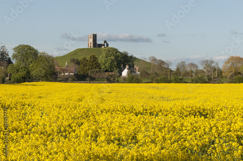 Photos Burrow Mump