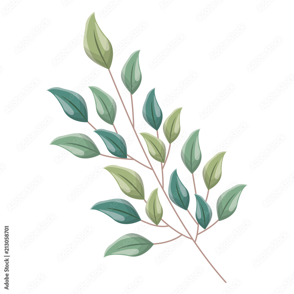 branch foliage leaves natural botanical branch foliage leaves natural botanical
