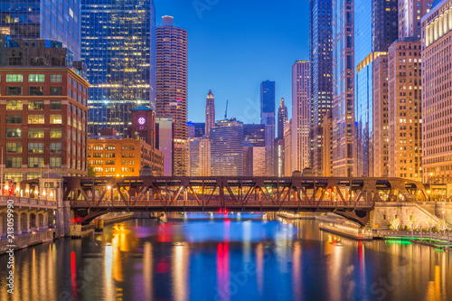 Chicago  Illinois  USA Cityscape