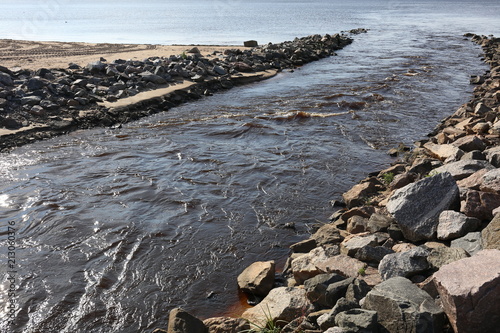 Fototapeta Naklejka Na Ścianę i Meble -  The shore of the Baltic sea. Near St. Petersburg