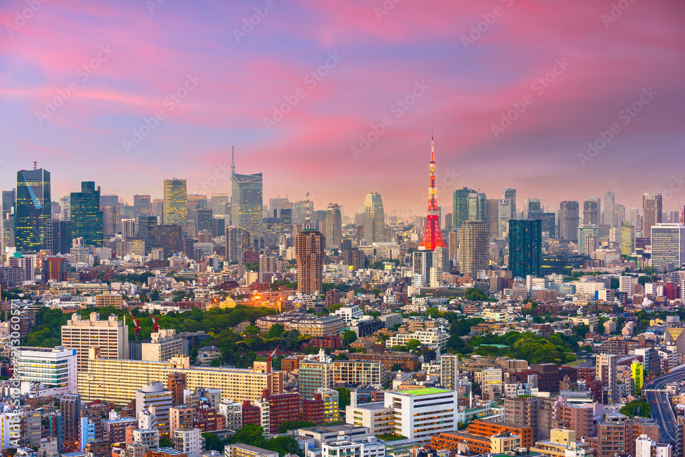 Tokyo, Japan Cityscape at Dusk
