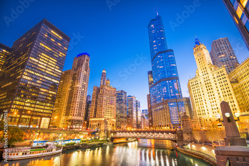 Chicago  Illinois  USA Cityscape
