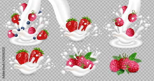 Milk or yogurt splash with berry fruits Vector realistic set collections isolated